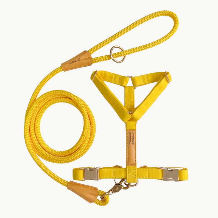Signature Harness & Rope Lead Set | Candy Yellow