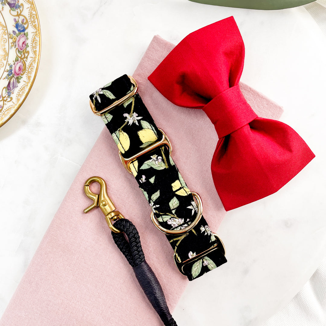 Wide Martingale Collar | Lemon Tree (Soft Cotton)