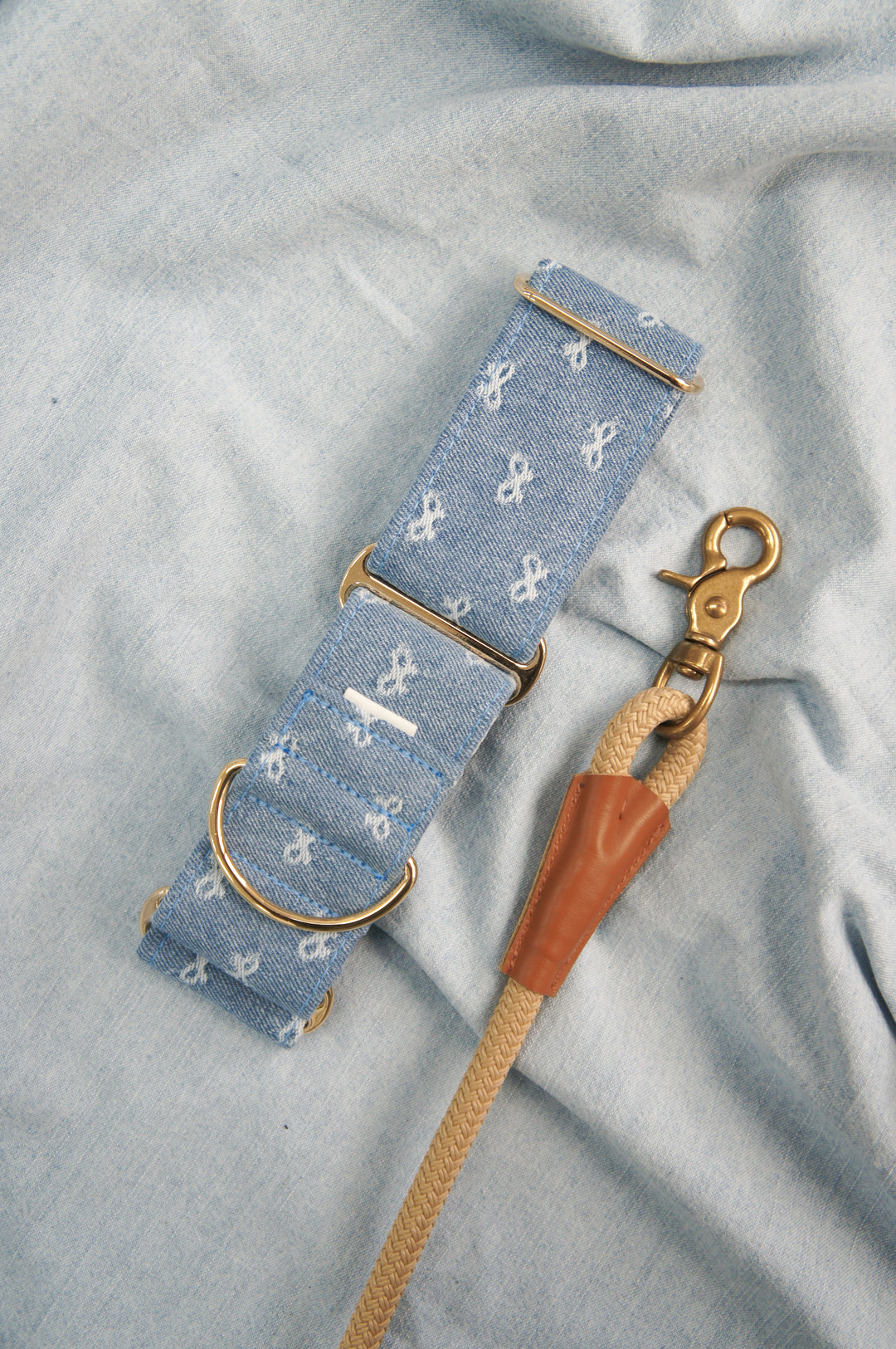 Dahound Light Blue Denim Bow Martingale  Collar Lifestyle Product Photo With Beige Rope Leash