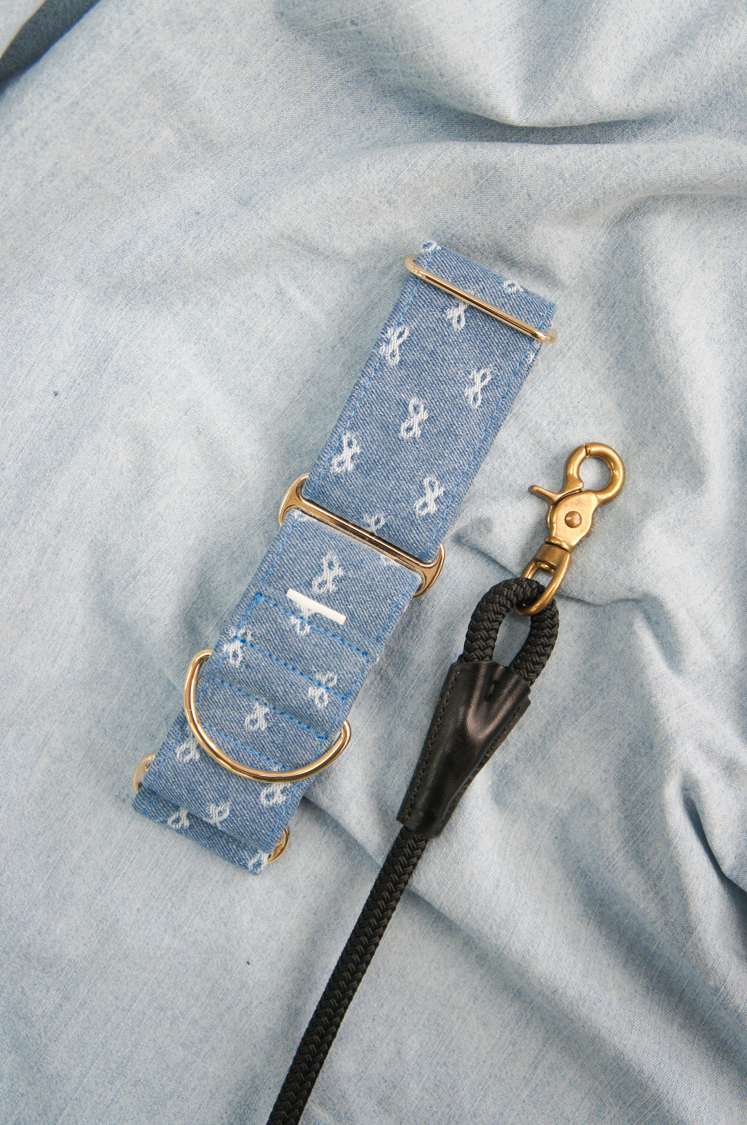 Dahound Light Blue Denim Bow Martingale  Collar Lifestyle Product Photo With Black Rope Leash