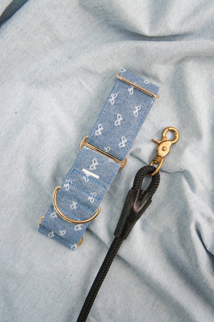Dahound Light Blue Denim Bow Martingale  Collar Lifestyle Product Photo With Black Rope Leash
