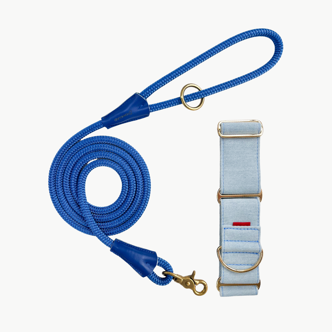 Martingale Collar & Rope Lead Set | Light Blue Denim (with Blue Leash)