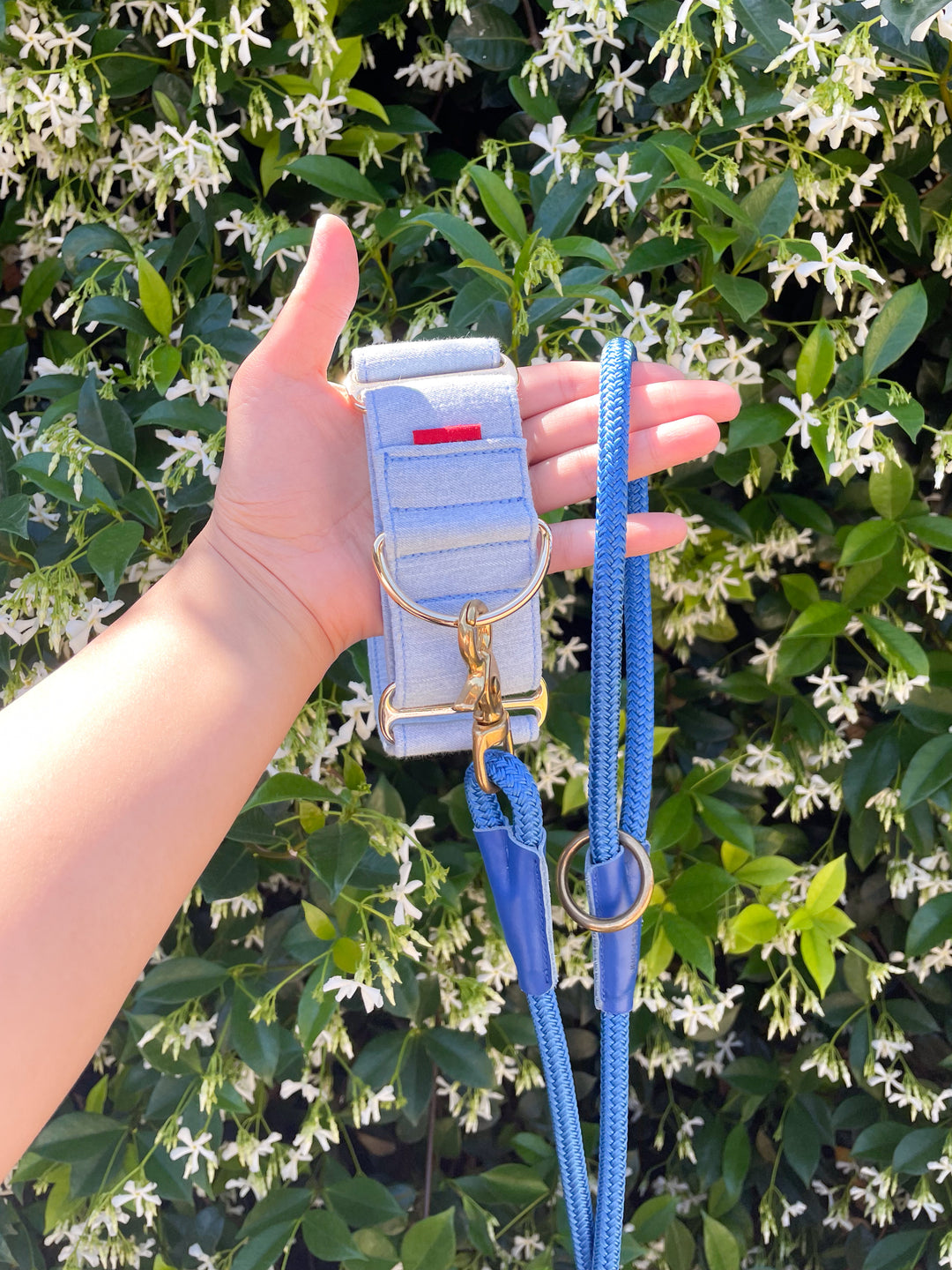 Wide Martingale Collar | Light Blue (Classic Denim)