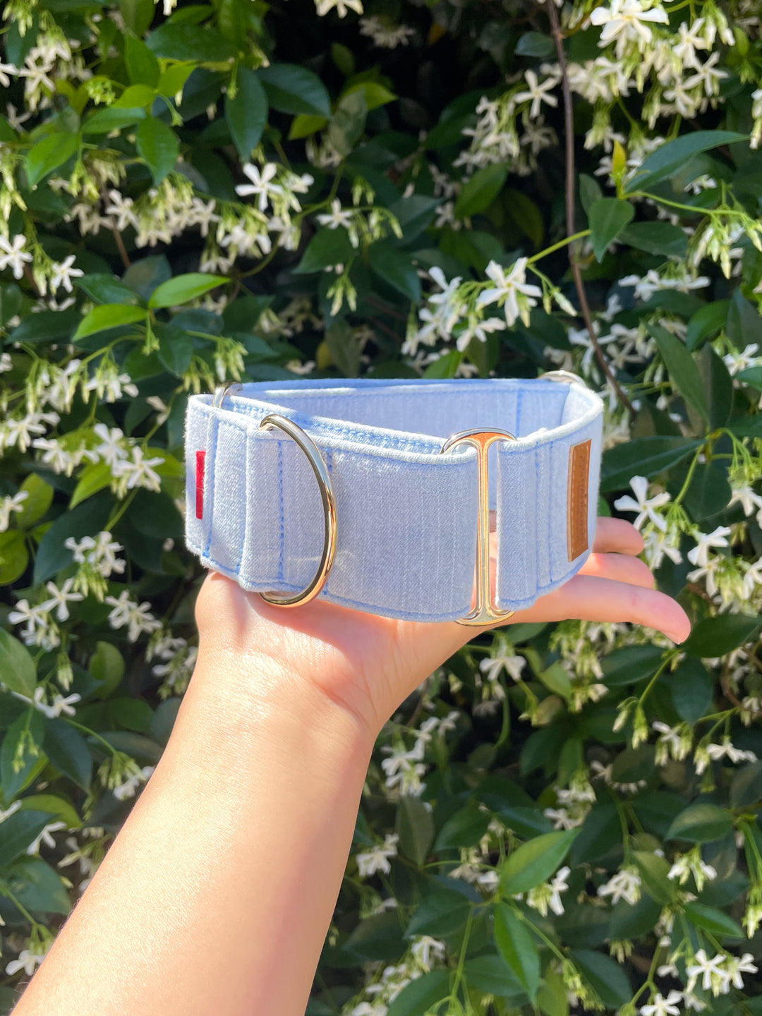 Wide Martingale Collar | Light Blue (Classic Denim)