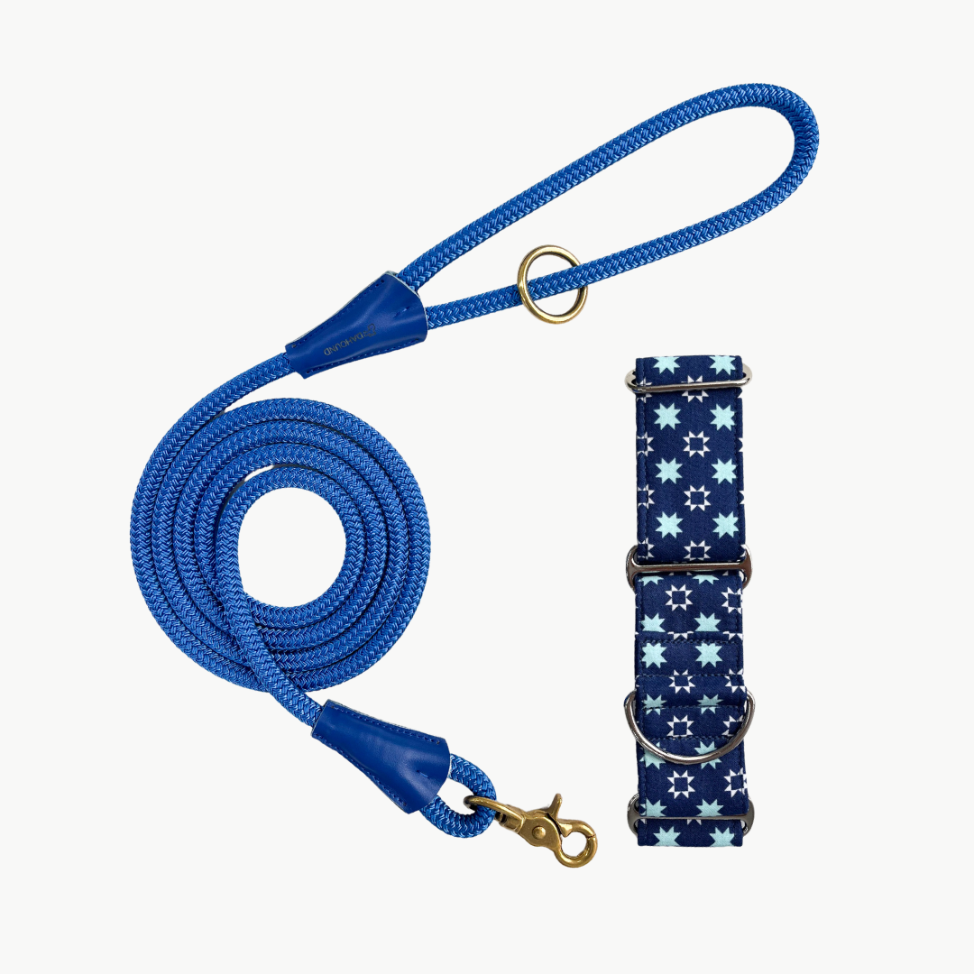 Martingale Collar & Rope Leash Set | Blue Kaleidoscope