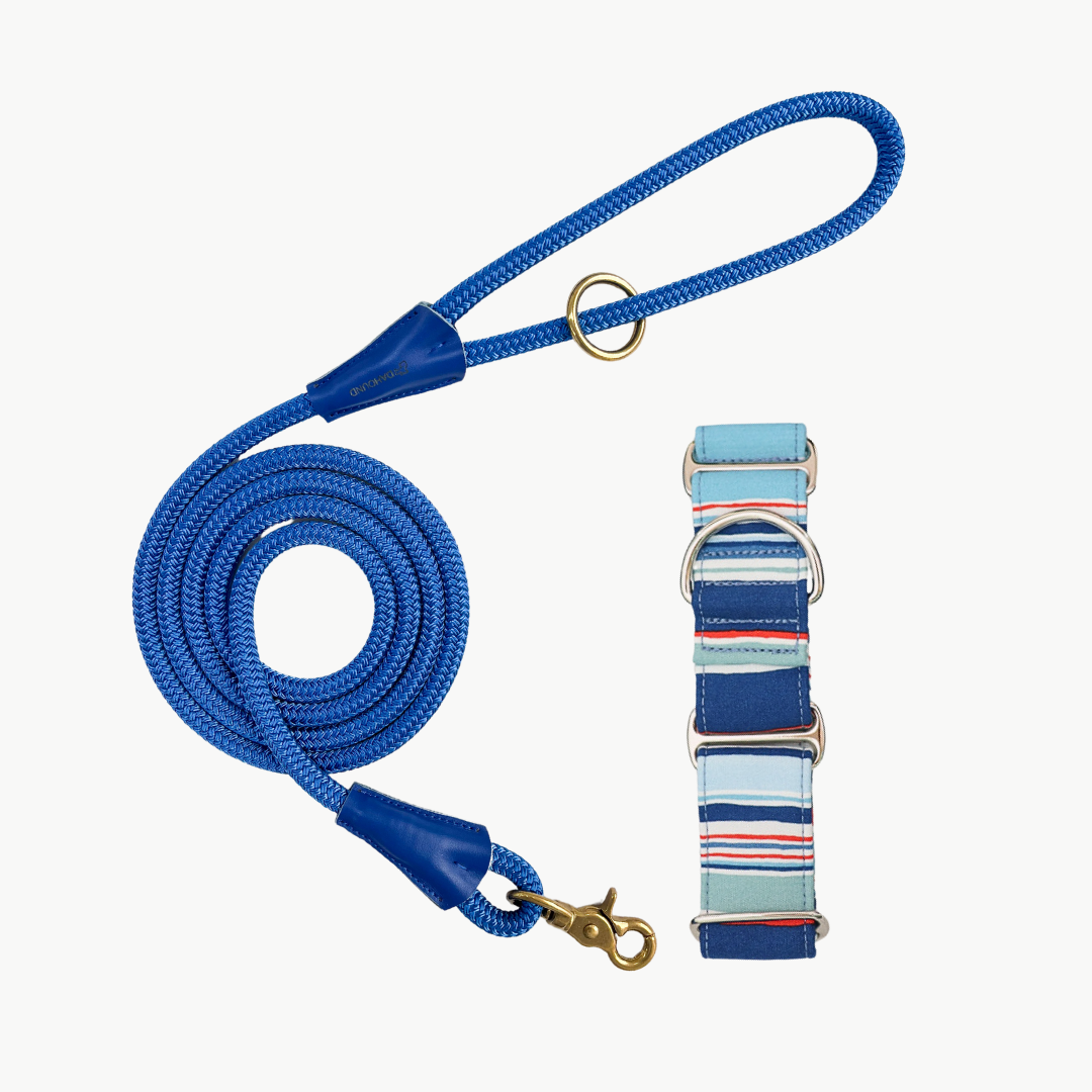 Martingale Collar & Rope Lead Set | Blue & Red Stripes
