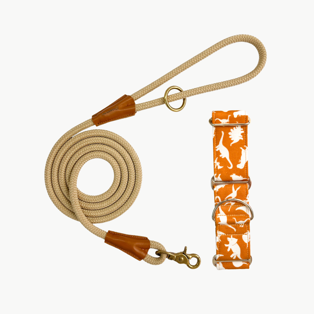 Martingale Collar & Rope Lead Set | Dino