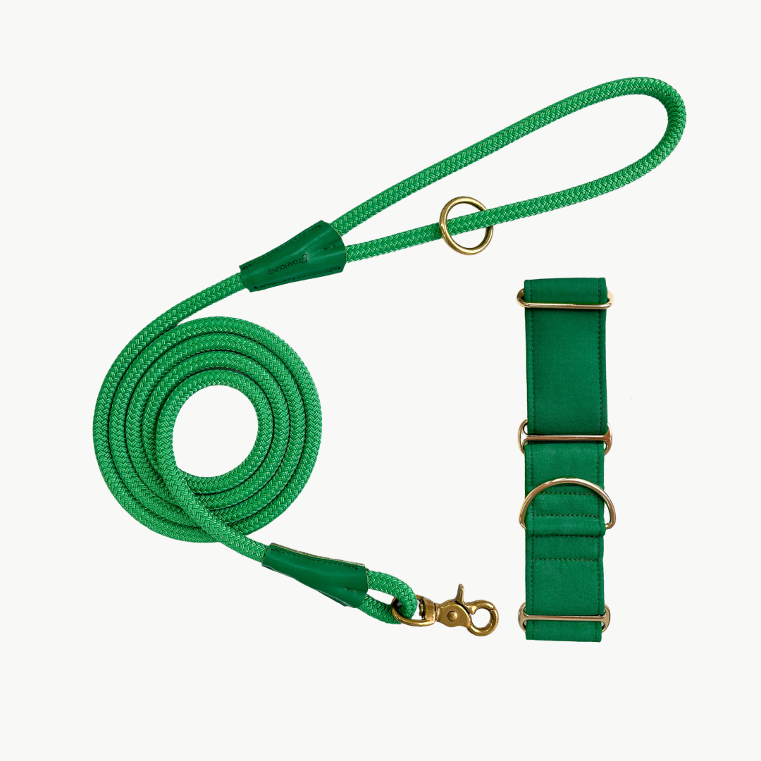 Martingale Collar & Rope Lead Set | Forest Green