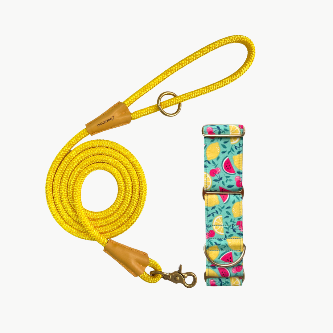 Martingale Collar & Rope Lead Set | Fruity Fruit Salad