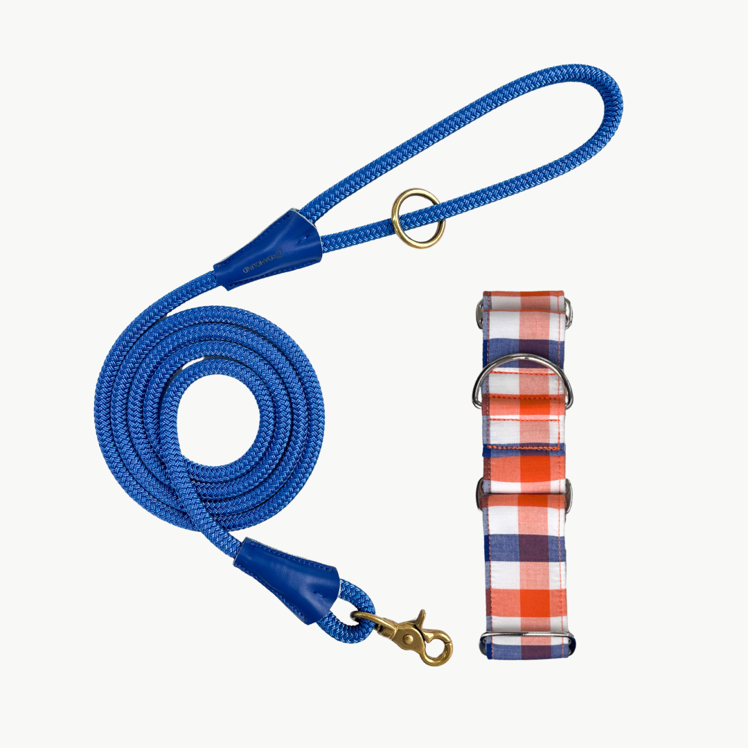 Martingale Collar & Rope Lead Set | Navy Blue & Orange Plaid