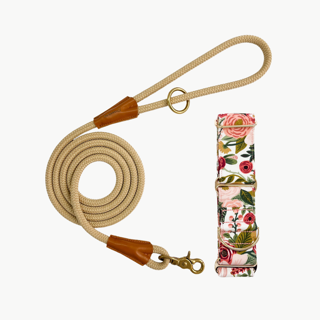 Martingale Collar & Rope Lead Set | Pink Blossoms