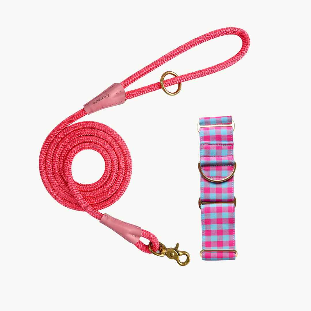Martingale Collar & Rope Lead Set | Pink & Blue Gingham (with pink leash)