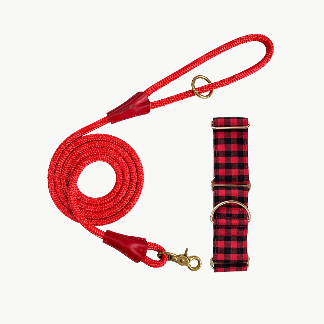 Martingale Collar & Rope Leash | Red & Black Gingham