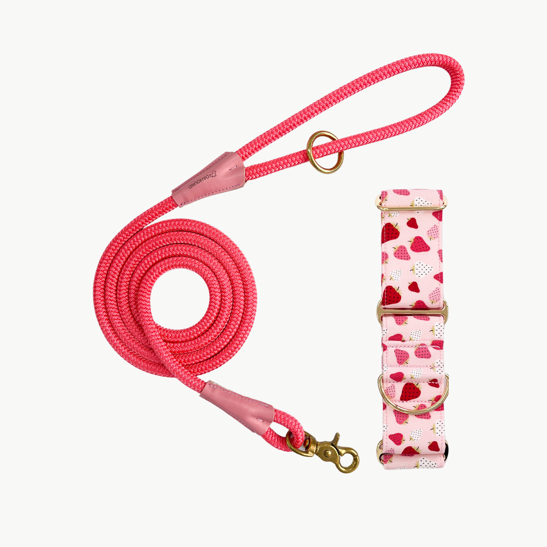 Martingale Collar & Rope Lead Set | Strawberry Gelato