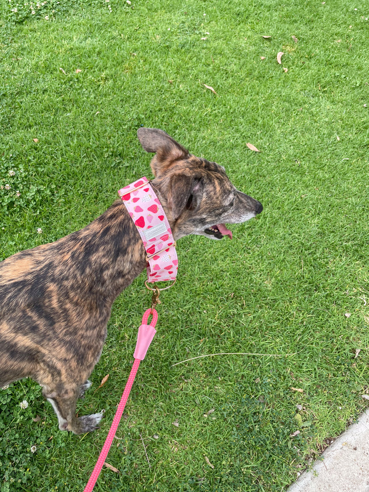 Soft Fabric Martingale Collar Strawberry Gelato Print On a brindle greyhound