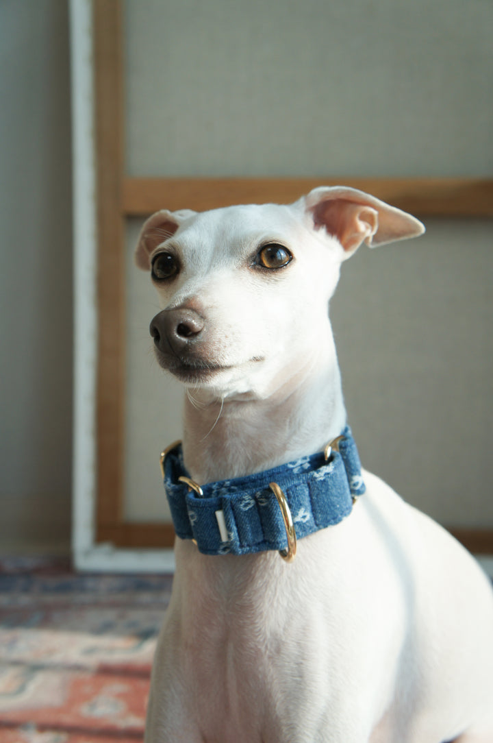 Dahound Mid Blue Denim Bow Martingale Collar Product Photo From Side