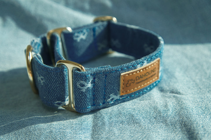 Dahound Mid Blue Denim Bow Italian Greyhound Collar Product Lifestyle Photo Side