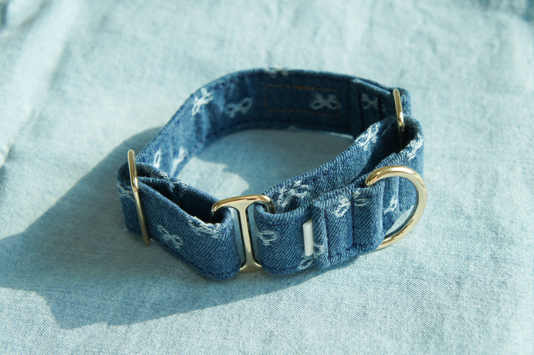 Dahound Mid Blue Denim Bow Italian Greyhound Collar Product Lifestyle Photo Front