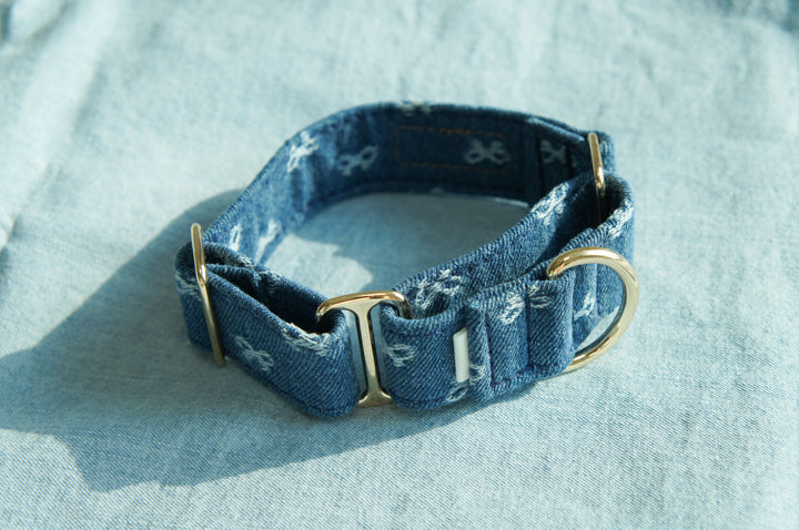 Dahound Mid Blue Denim Bow Italian Greyhound Collar Product Lifestyle Photo Front