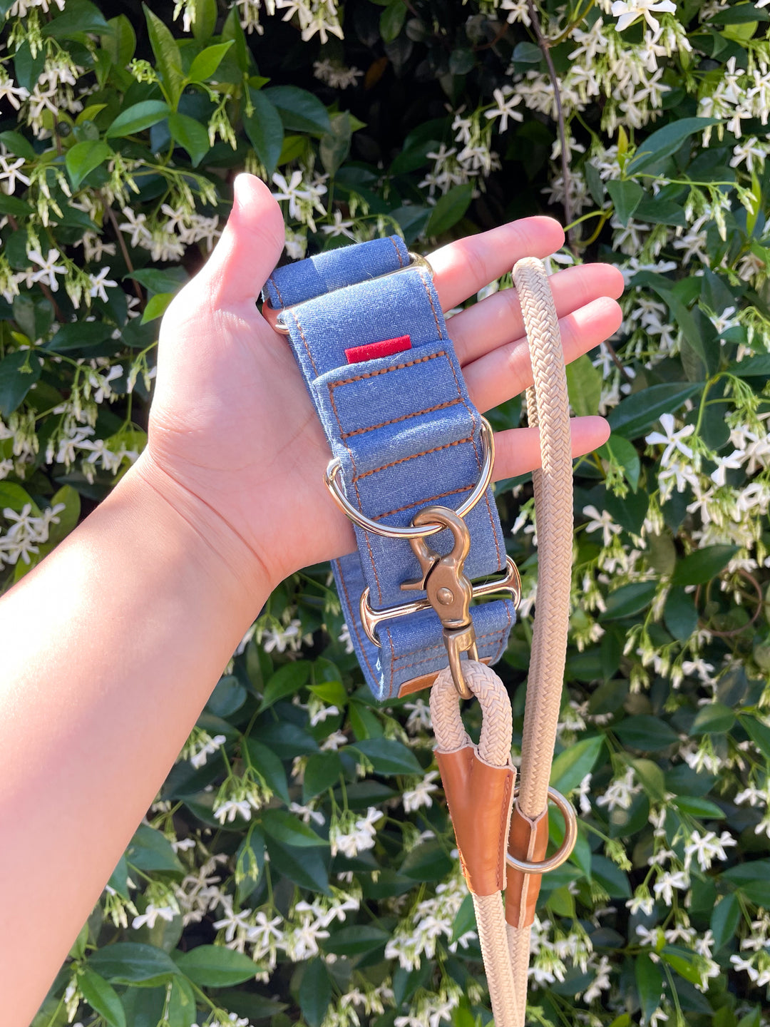 Wide Martingale Collar | Mid Blue (Classic Denim)