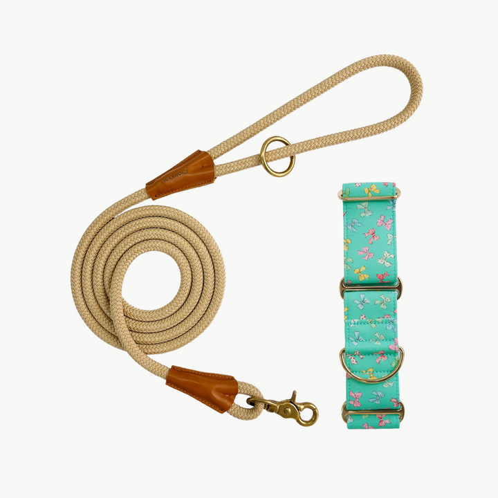 Martingale Collar & Rope Lead Set | Mint Blue Mini Bows