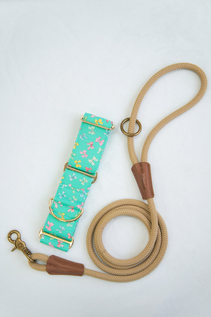 Martingale Collar & Rope Lead Set | Mint Blue Mini Bows