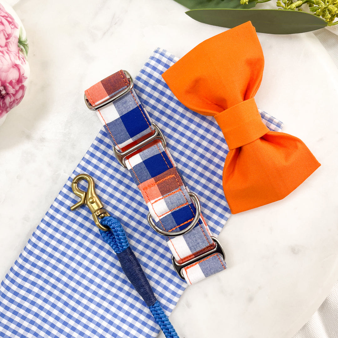 Navy Blue & Orange Gingham Martingale Collar Set