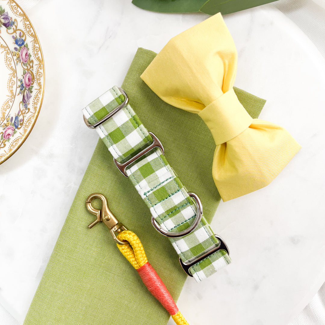 Olive Green Gingham Whippet Collar Set