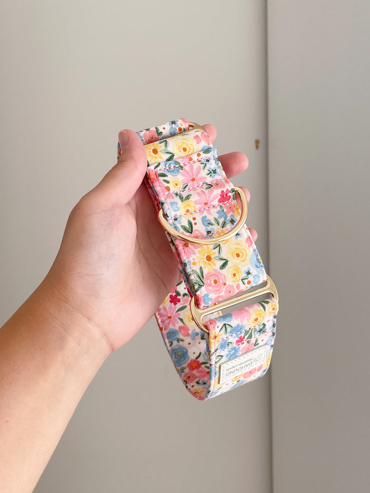 Dahound Pastel Blossoms Floral Print Martingale Collar Lifestyle Photo On Hand