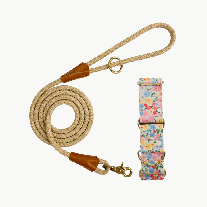 Martingale Collar & Rope Lead Set | Pastel Blossoms (with Beige Leash)