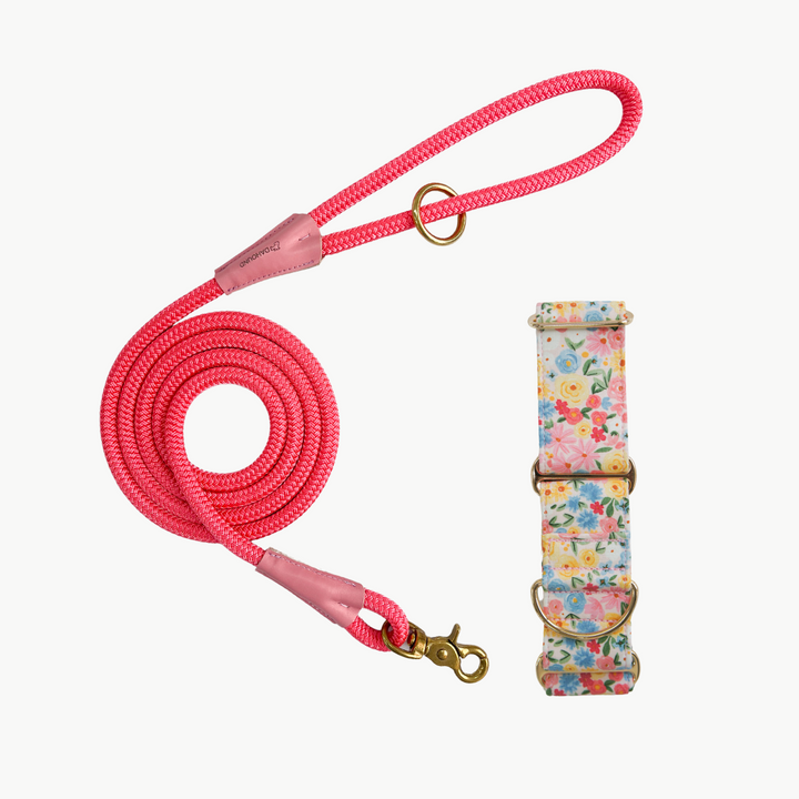 Martingale Collar & Rope Lead Set | Pastel Blossoms (with Pink Leash)