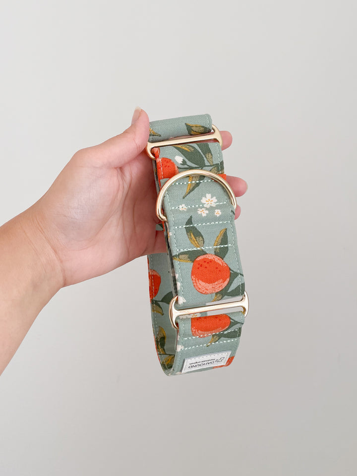 Wide Martingale Collar | Peach (Sturdy Oxford Cotton)