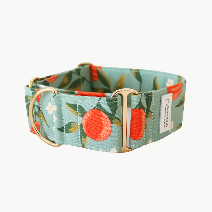 Wide Martingale Collar | Peach (Sturdy Oxford Cotton)