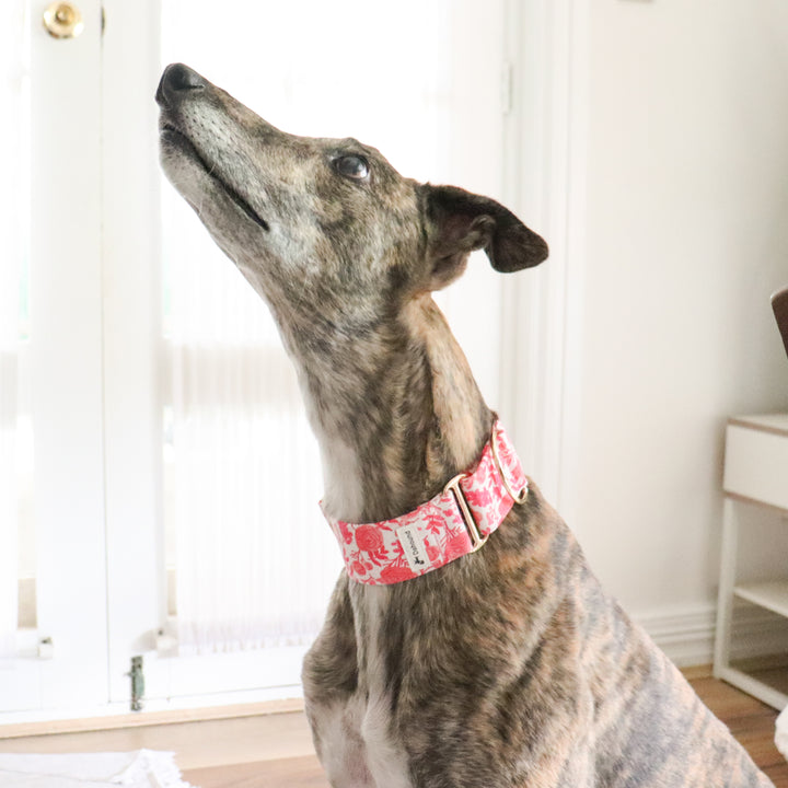 Pink Rose Garden Greyhound Collar