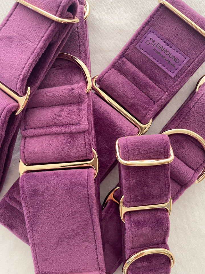 Wide Martingale Collar | Purple (Plush Velvet)