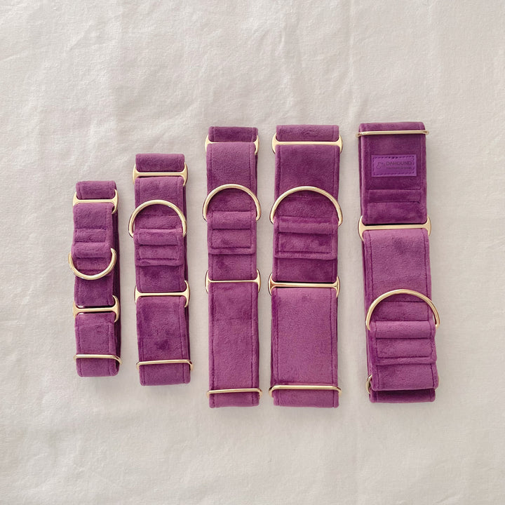 Wide Martingale Collar | Purple (Plush Velvet)