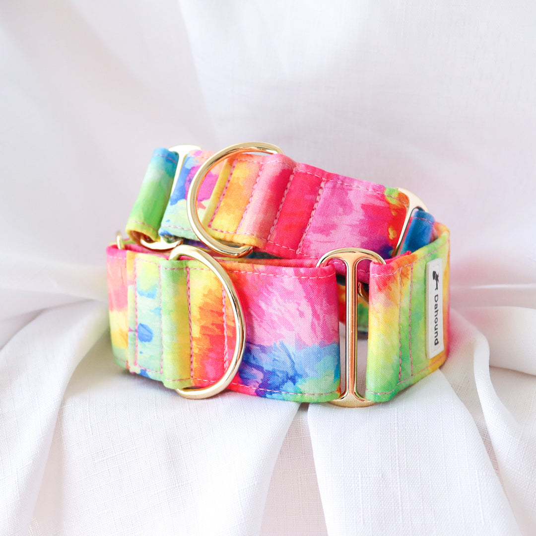 Wide Martingale Collar | Rainbow Paddle Pop (Soft Cotton)