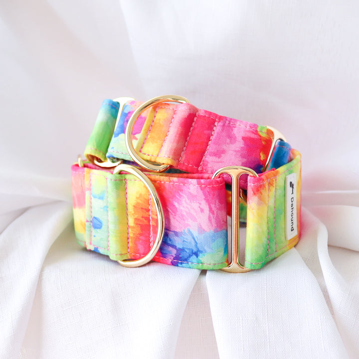Wide Martingale Collar | Rainbow Paddle Pop (Soft Cotton)
