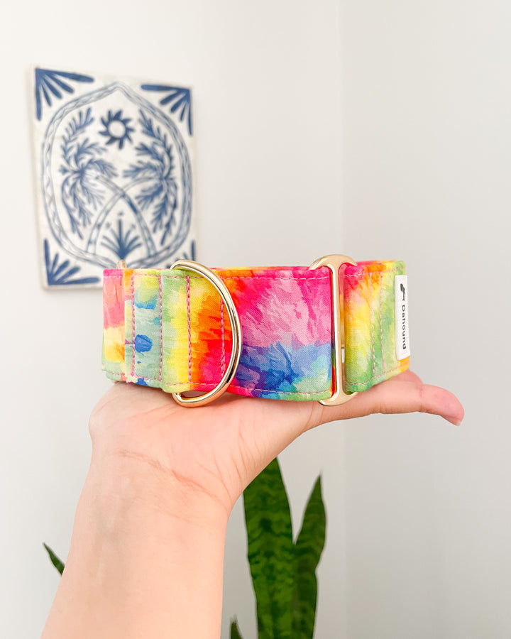 Wide Martingale Collar | Rainbow Paddle Pop (Soft Cotton)