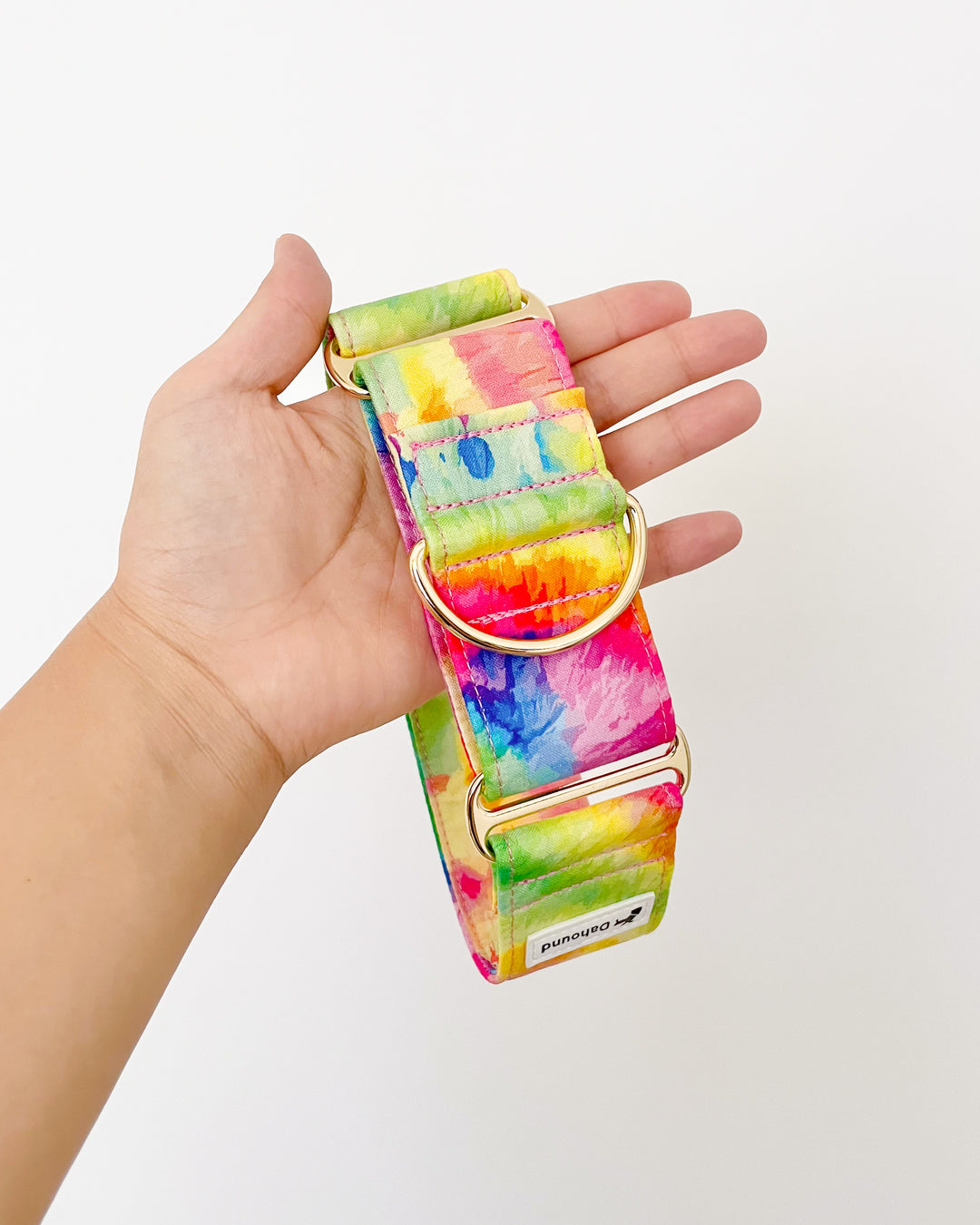 Wide Martingale Collar | Rainbow Paddle Pop (Soft Cotton)