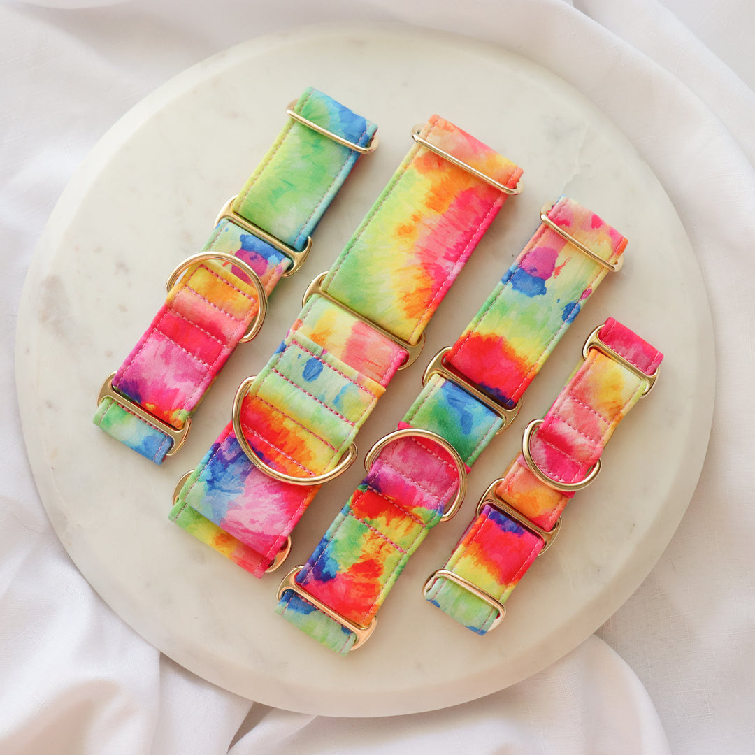 Wide Martingale Collar | Rainbow Paddle Pop (Soft Cotton)
