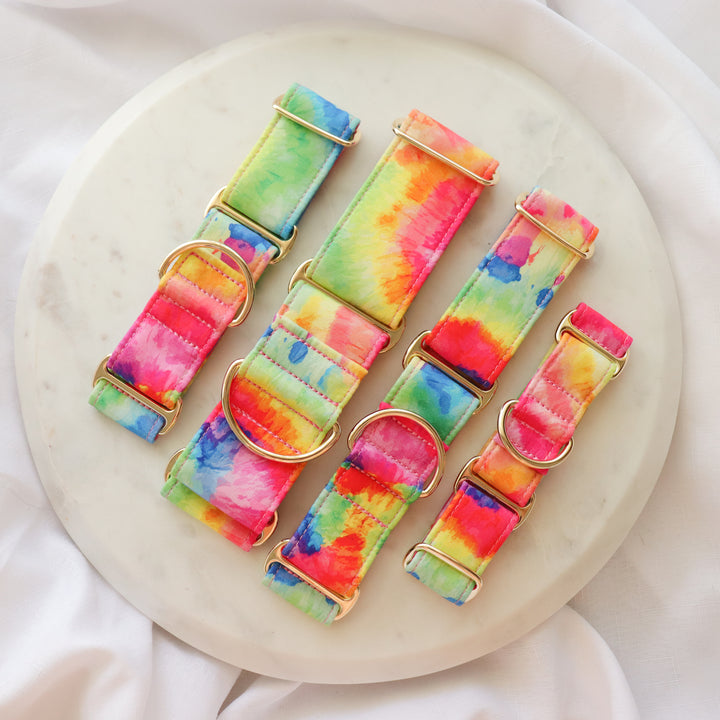 Wide Martingale Collar | Rainbow Paddle Pop (Soft Cotton)