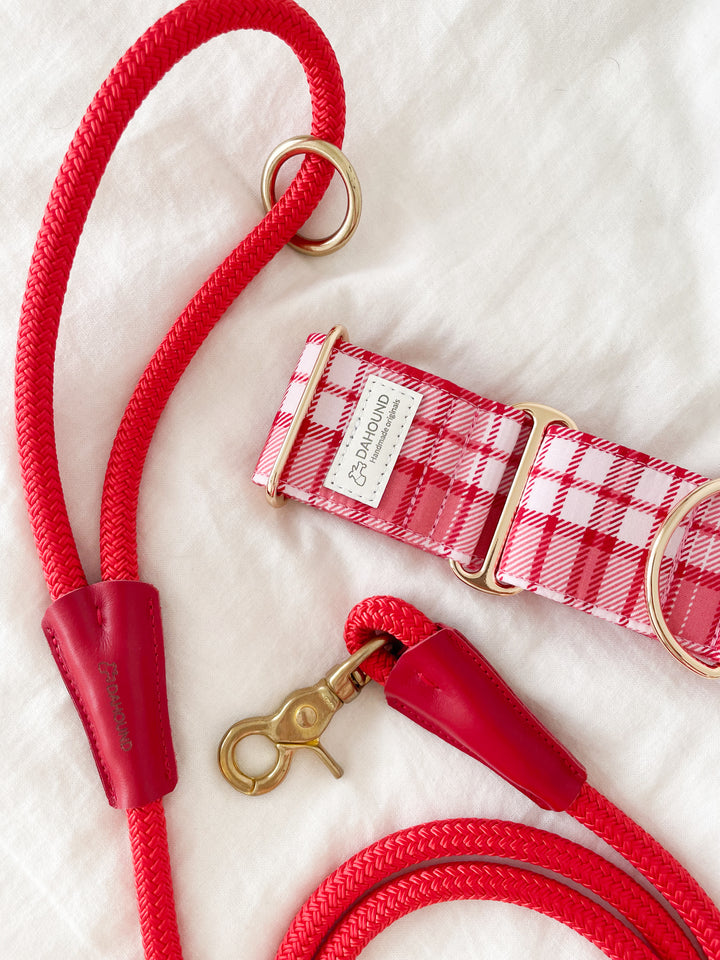 Dahound Red Pink Plaid Martingale Collar + Rope Leash Lifestyle Photo