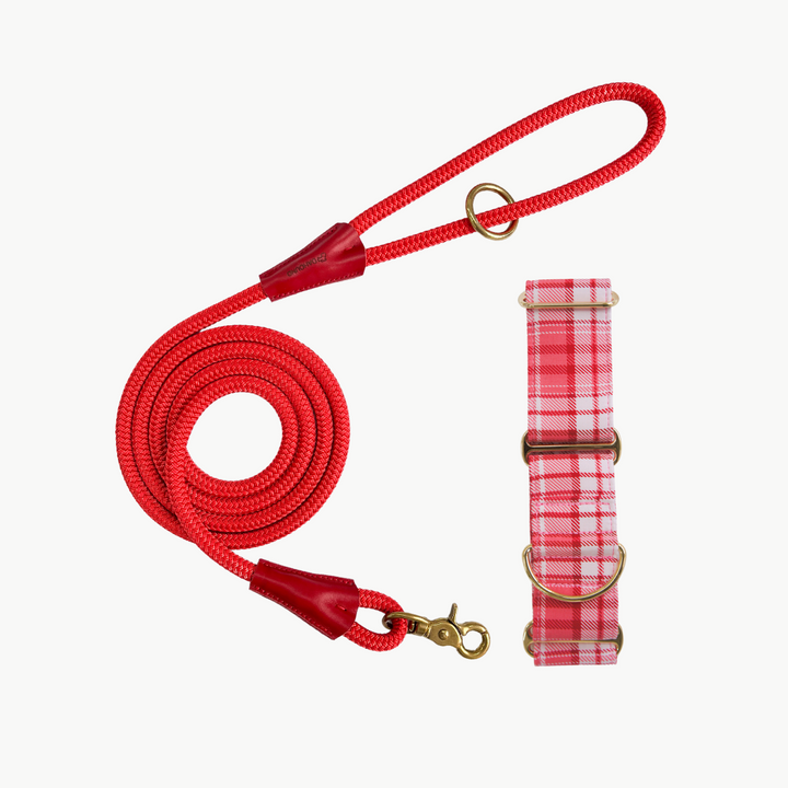 Martingale Collar & Rope Lead Set | Red Pink Plaid