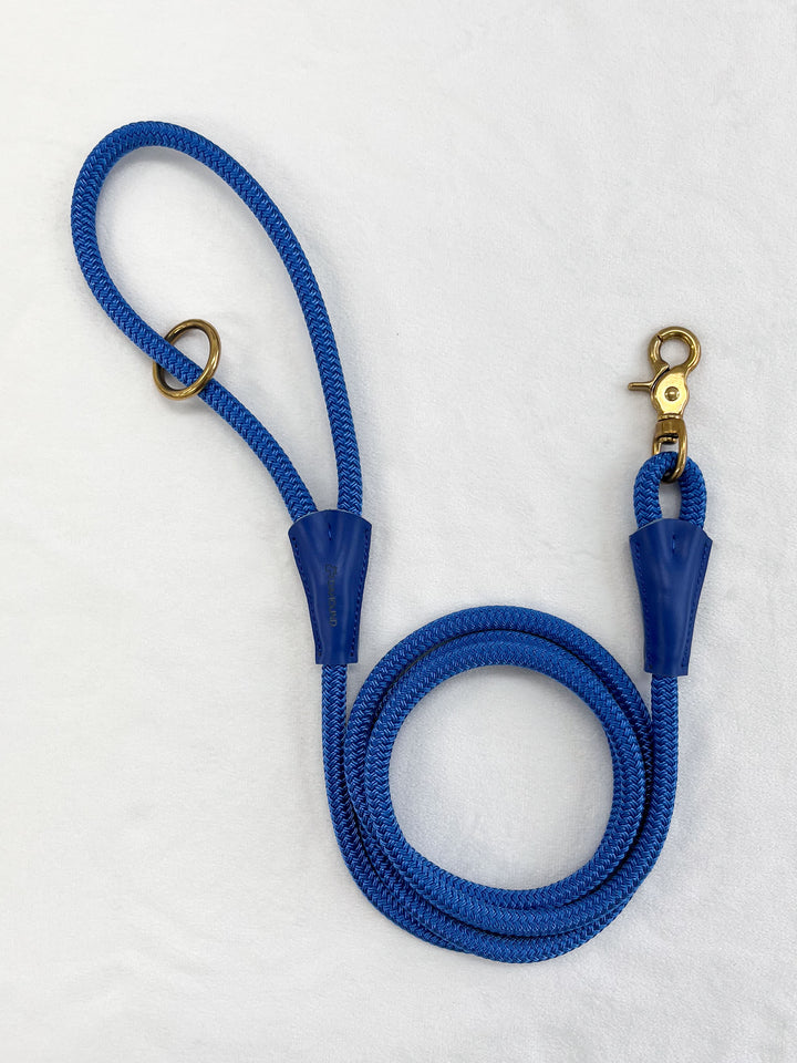 Dazzling Blue Rope Leash With Leather and Brass Fitting