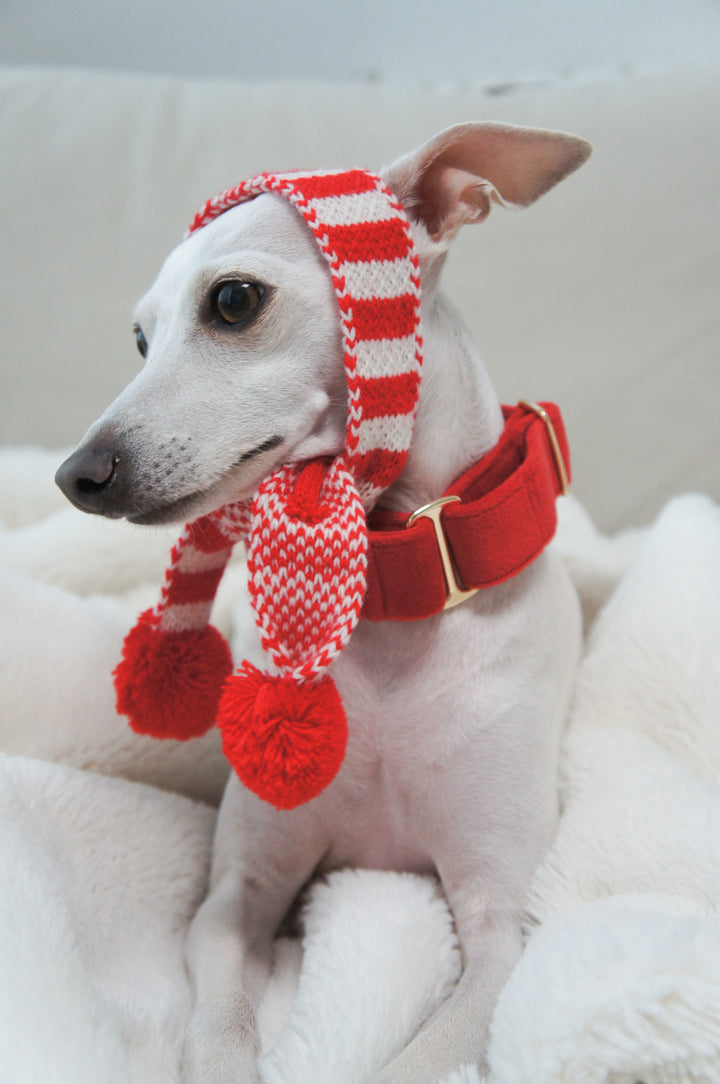 Wide Martingale Collar | Scarlet Red (Plush Velvet)