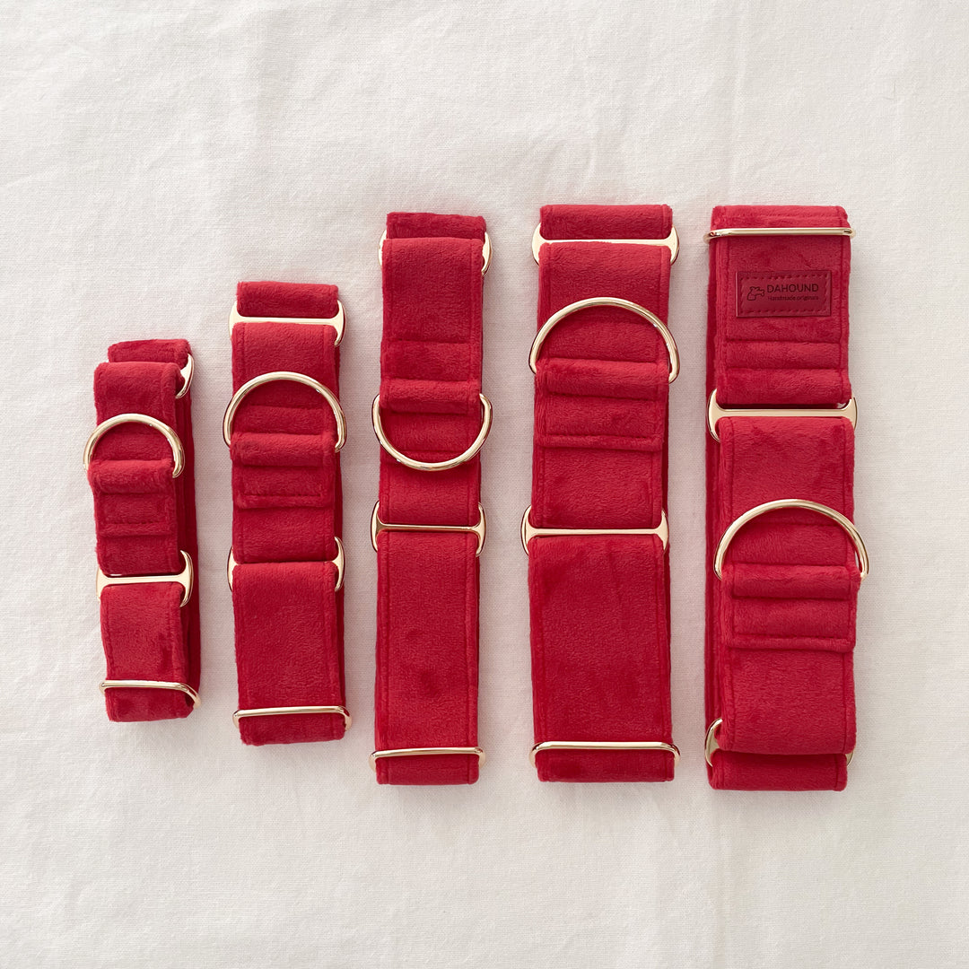 Wide Martingale Collar | Scarlet Red (Plush Velvet)