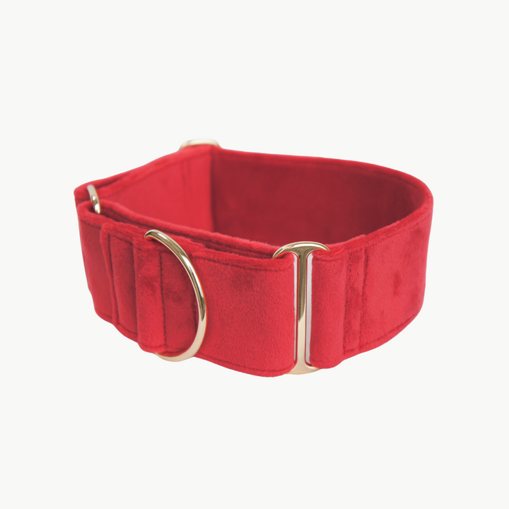 Wide Martingale Collar | Scarlet Red (Plush Velvet)