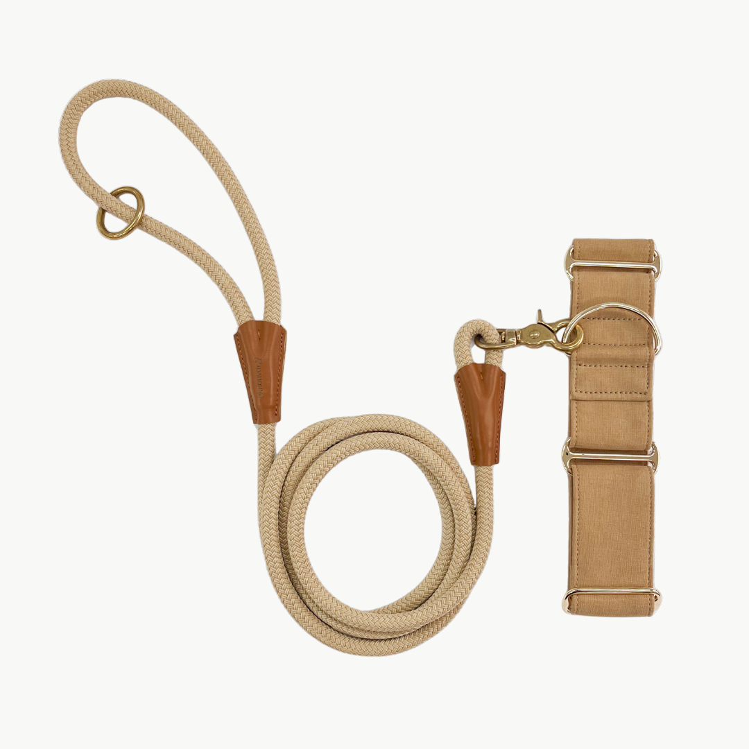 Signature Martingale Collar Rope Lead Set Beige Dahound