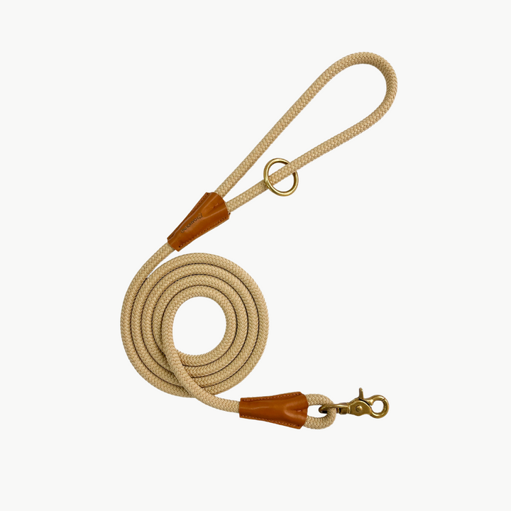 Signature Rope Leash | Beige (Leather & Brass Hardware)